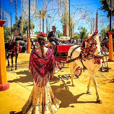 Sherryflat Paralejo 7 *